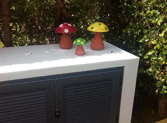 Quinta Do Vale Kır Evi *