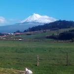 Quinta Do Vale * Horta (Azores)