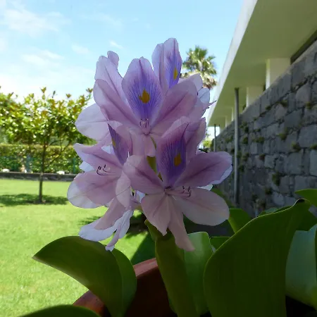 Quinta Do Vale Hétvégi ház *